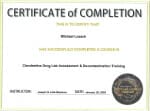 DL Certificate
