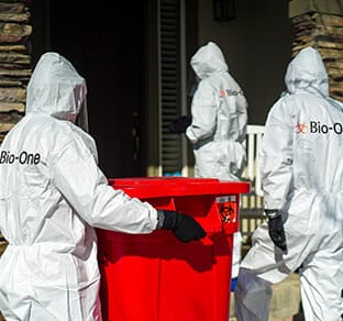 Bioone Team Clean-up